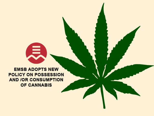 cannabis policy image