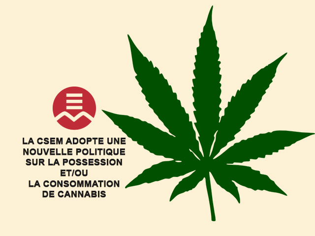 cannabis policy image