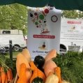 Après un début de journée sous la brume, le ciel s’éclaircit pour faire place à une superbe matinée au Marché public de Pointe-aux-Trembles, le 14 septembre.  