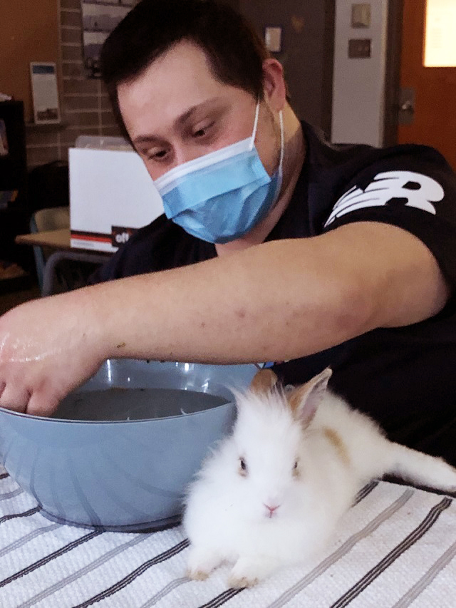 Alfonso Guerriero enjoying a pet therapy session with bunny Andy Warhol in the Art Hive in February 2021.