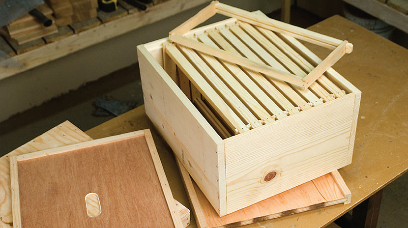 Building a Langstroth Beehive