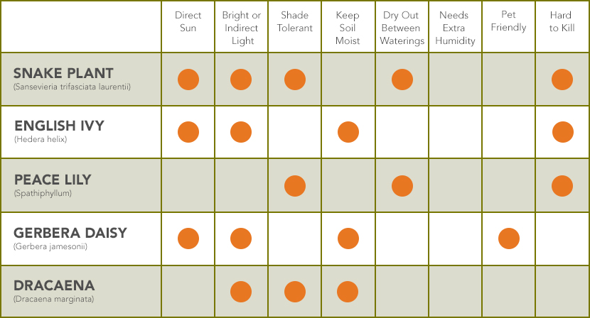 Specific Needs of Each Air-Cleaning Plant